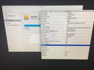 macOS High Sierra Beta - APSF issue with external bootable SSD - 04 Drive Info Bootable No