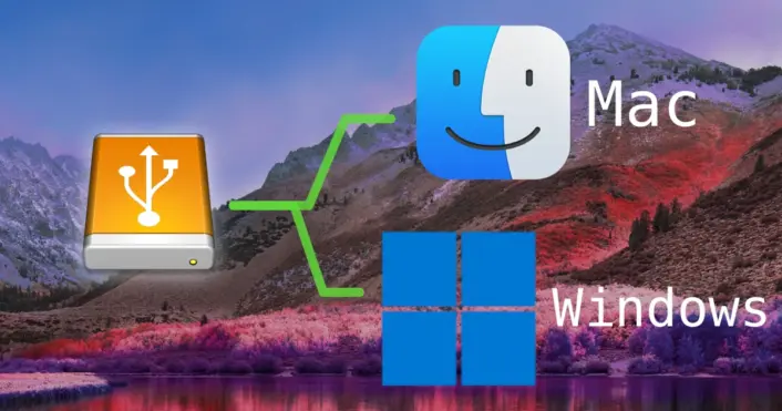 Symbolic visualisation showing an external drive formatted to work on Windows and Macs
