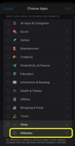 Screenshot from iOS new App Limit rule list of categories with marking Other » Websites